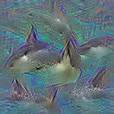 n02066245 grey whale, gray whale, devilfish, Eschrichtius gibbosus, Eschrichtius robustus